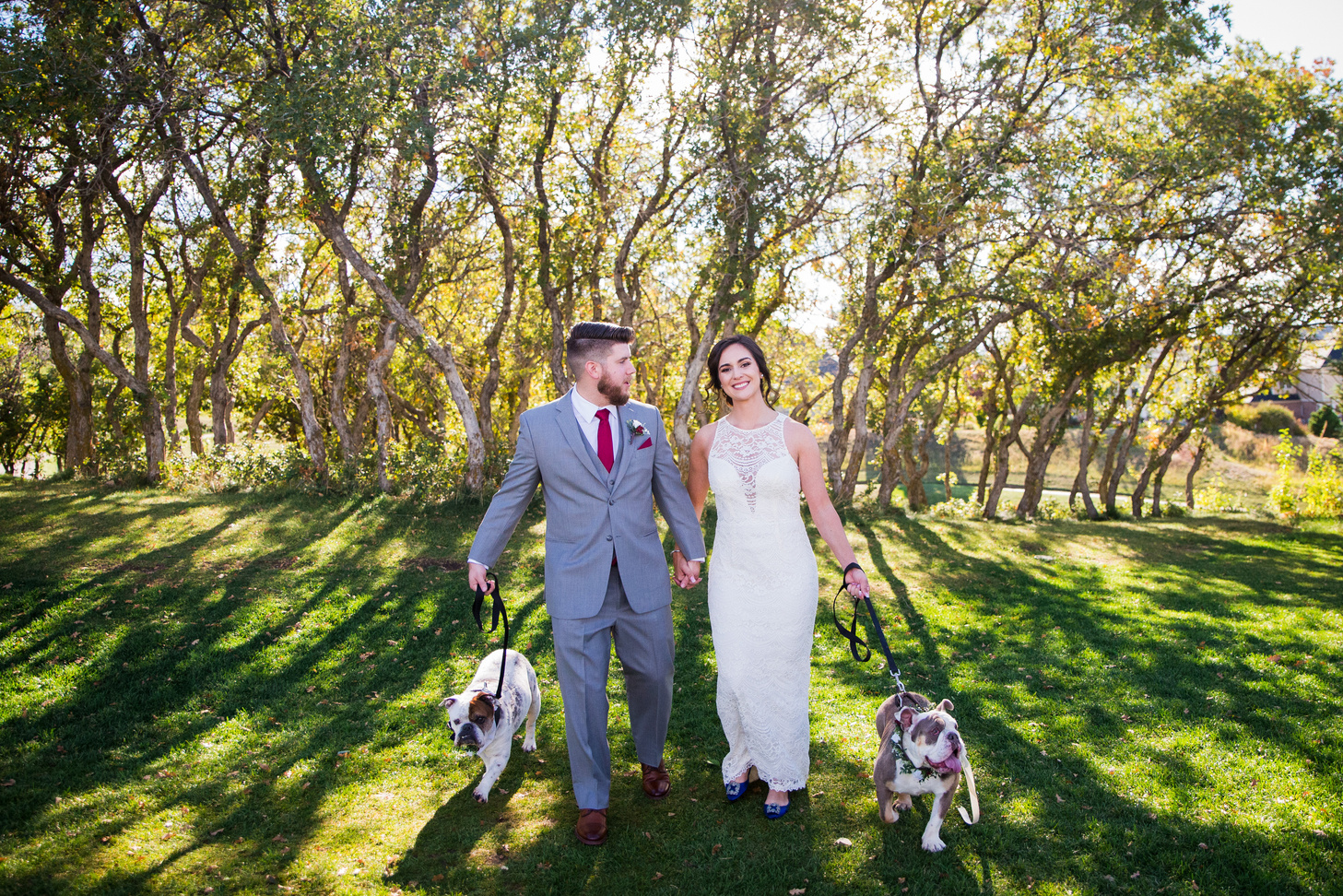 A bride and groom walking their dogs in front of the oak trees at The Oaks at Plum Creek in Castle Rock, Colorado.